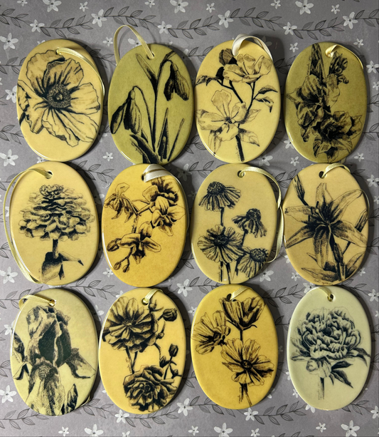 Pen Drawing Ornament Bundle