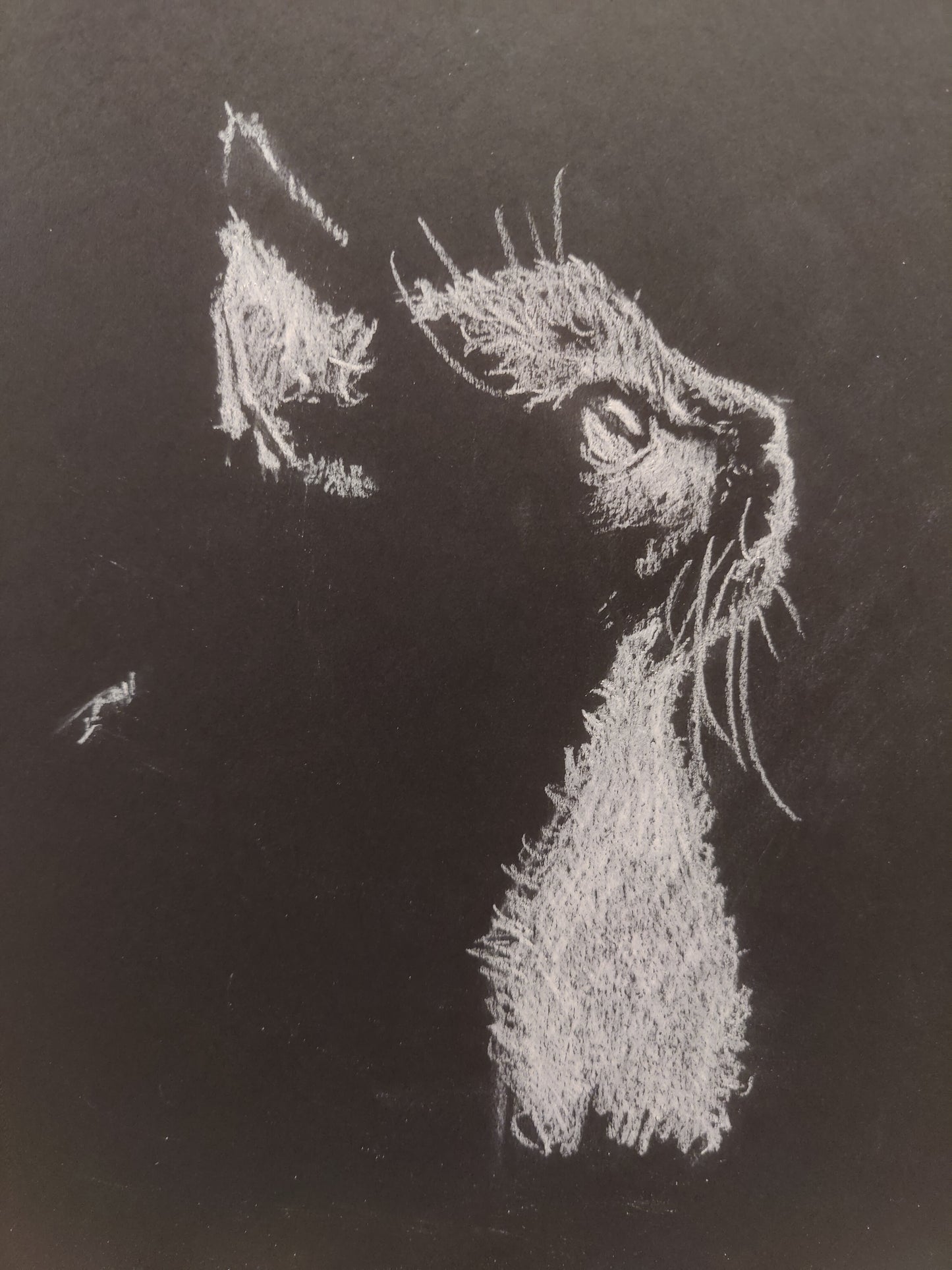 "Shadow Kitty" Sketch