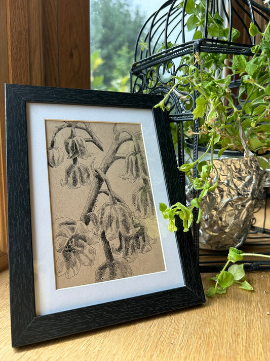 Lily of the Valley Pen Drawing