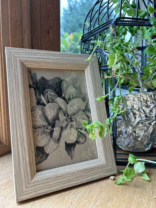 Apple Blossoms Pen Drawing