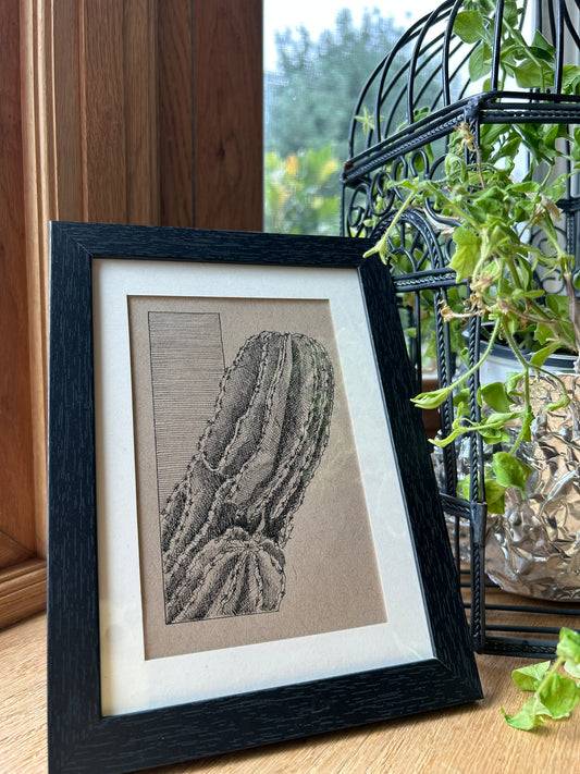 Spiney Cactus Pen Drawing