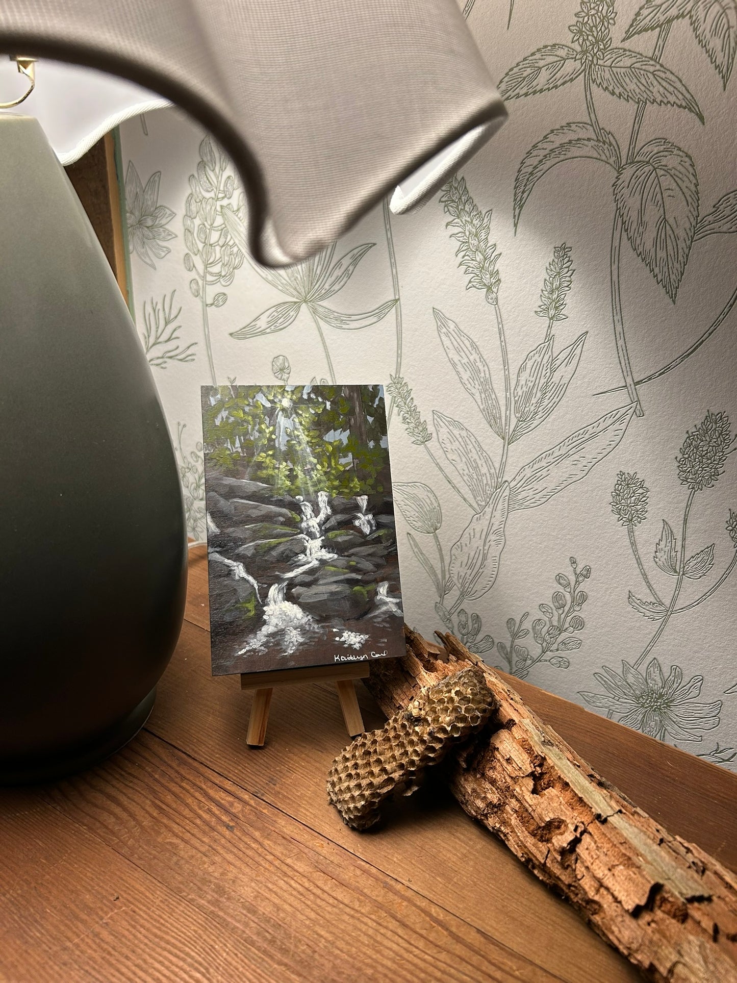 Promised Land Postcard Collection