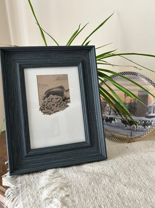 Wheelbarrow Runs Over Mini Pen Drawing