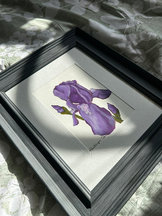 Iris Original Painting