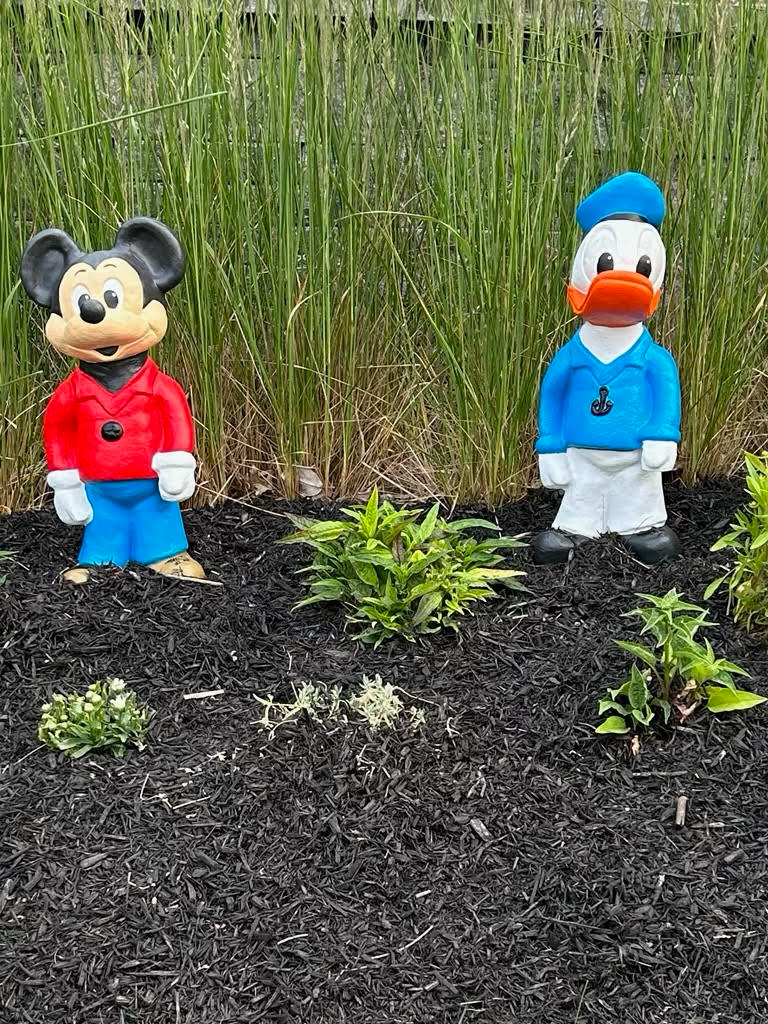 Mickey Mouse and Donald Duck