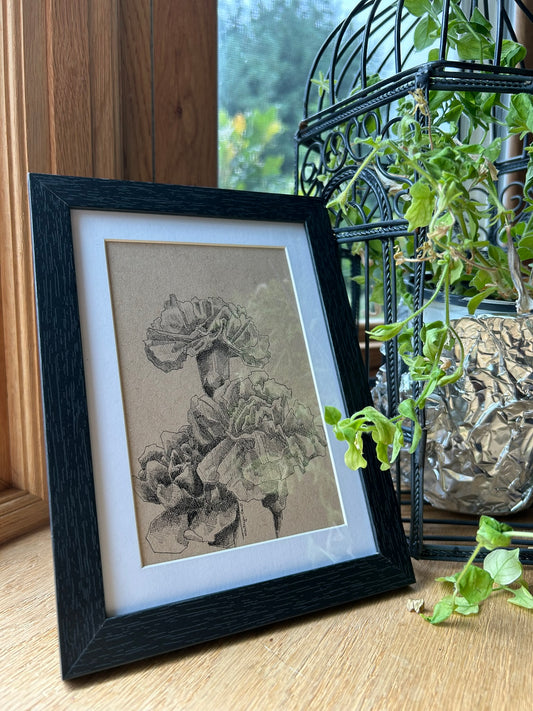 Carnation Pen Drawing