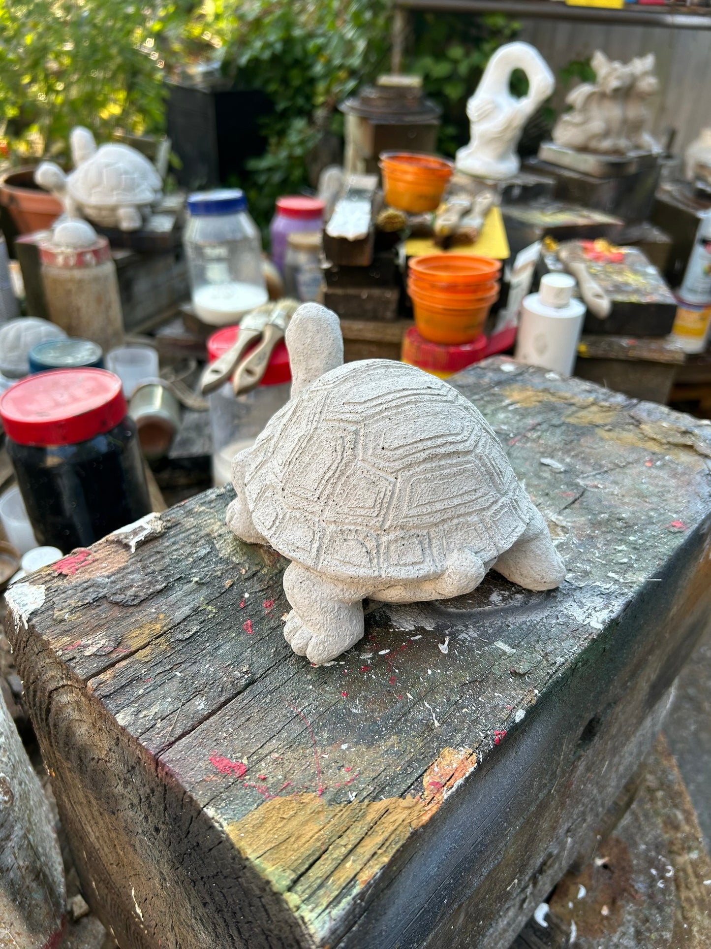 Small Turtle