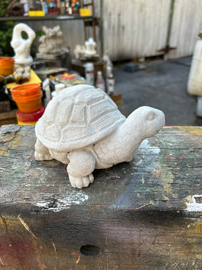 Small Turtle