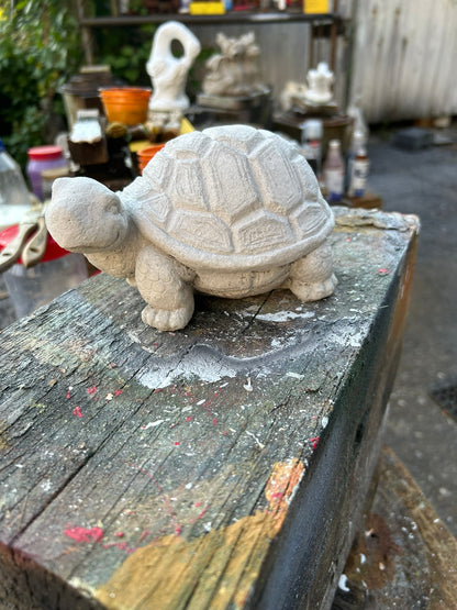 Small Turtle