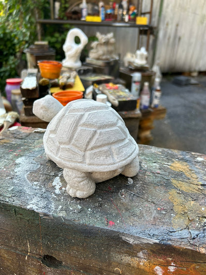 Small Turtle