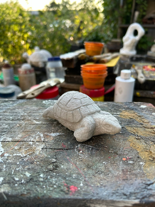 Tiny Turtle