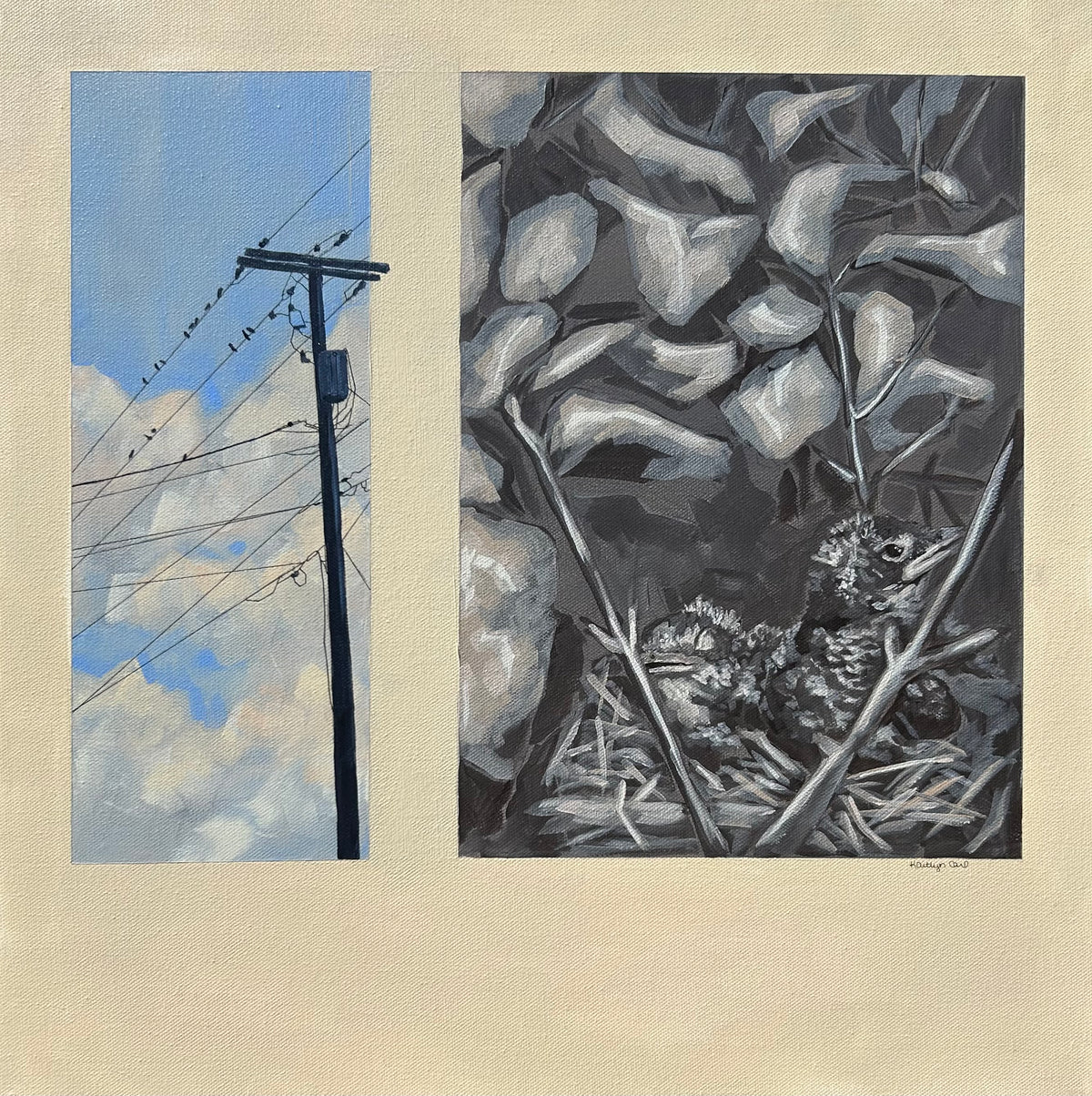 "Sky's The Limit" Fine Art Print