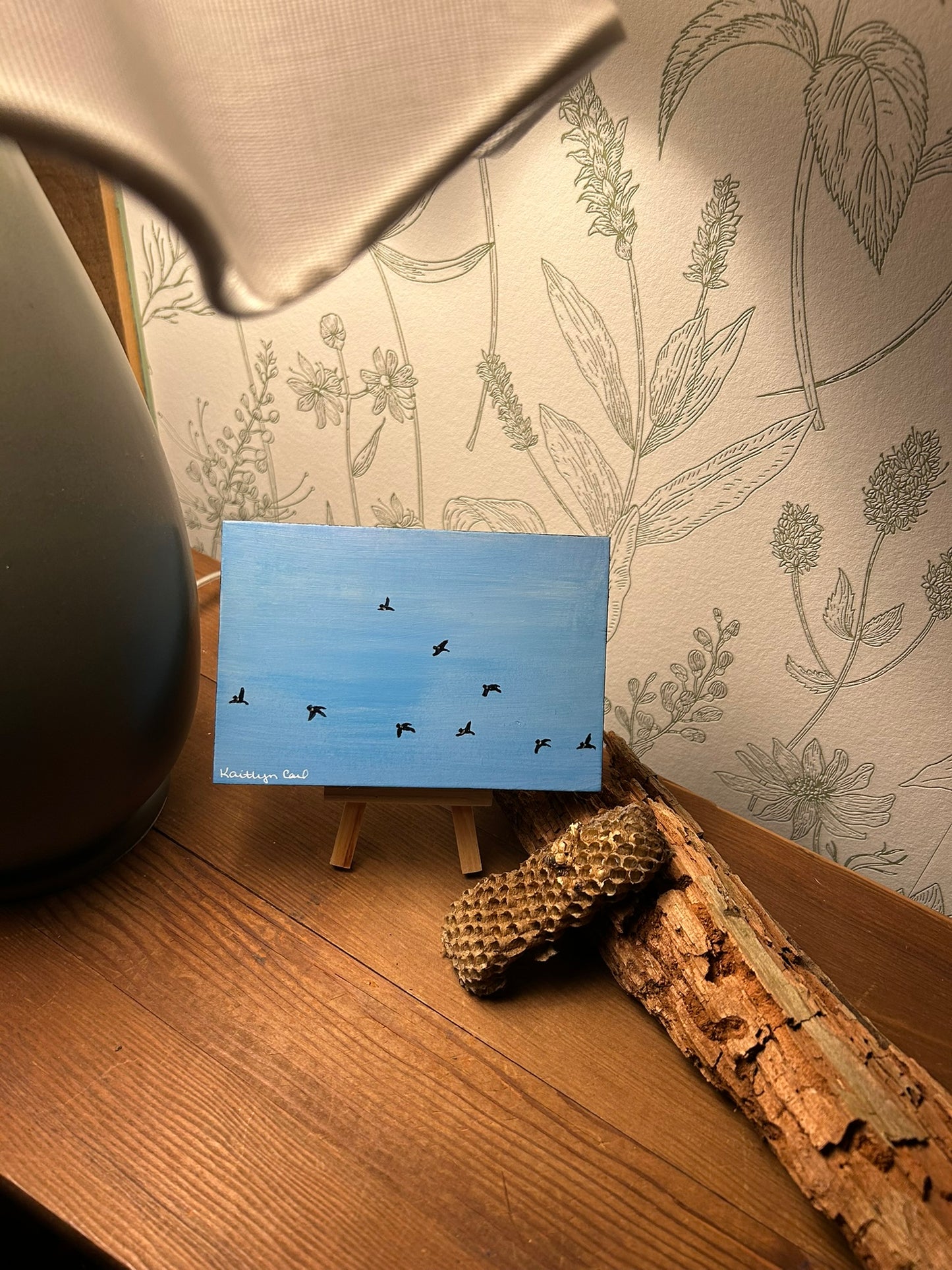 Promised Land Postcard Collection