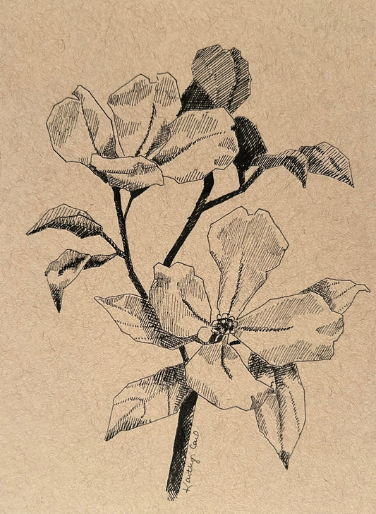 Dogwood Pen Drawing