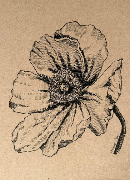 Poppy Pen Drawing