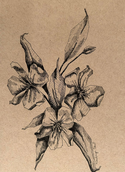 Floral Pen Drawing