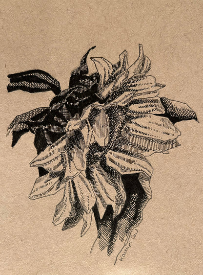 Sunflower Pen Drawing