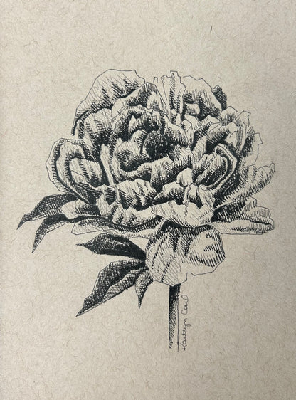 Peony Pen Drawing