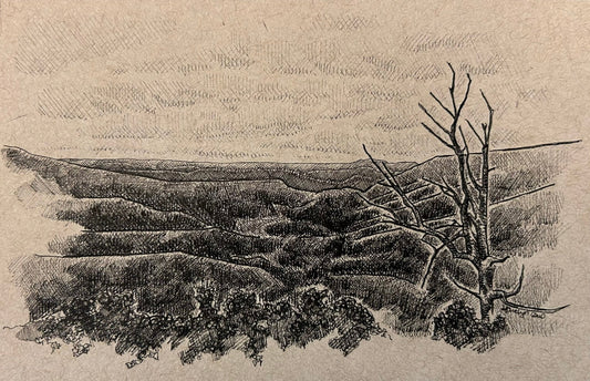 Bacon Hollow Overlook Original Pen Drawing