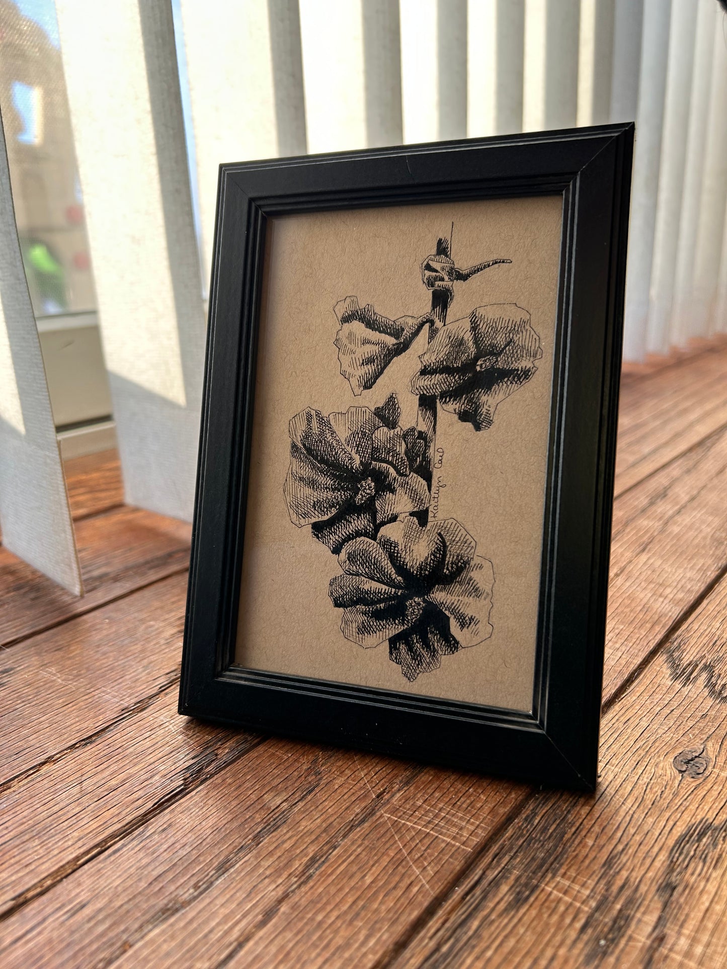 Hollyhock Pen Drawing