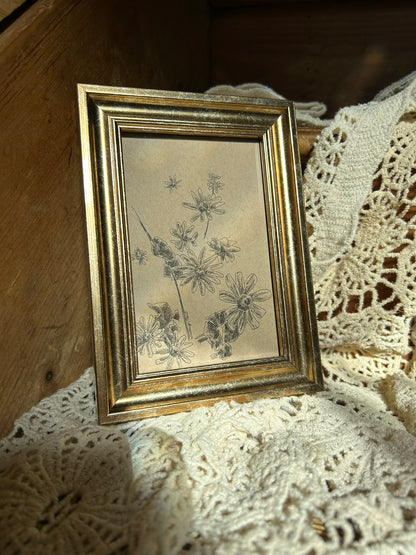 Black-Eyed Susan Pen Drawing