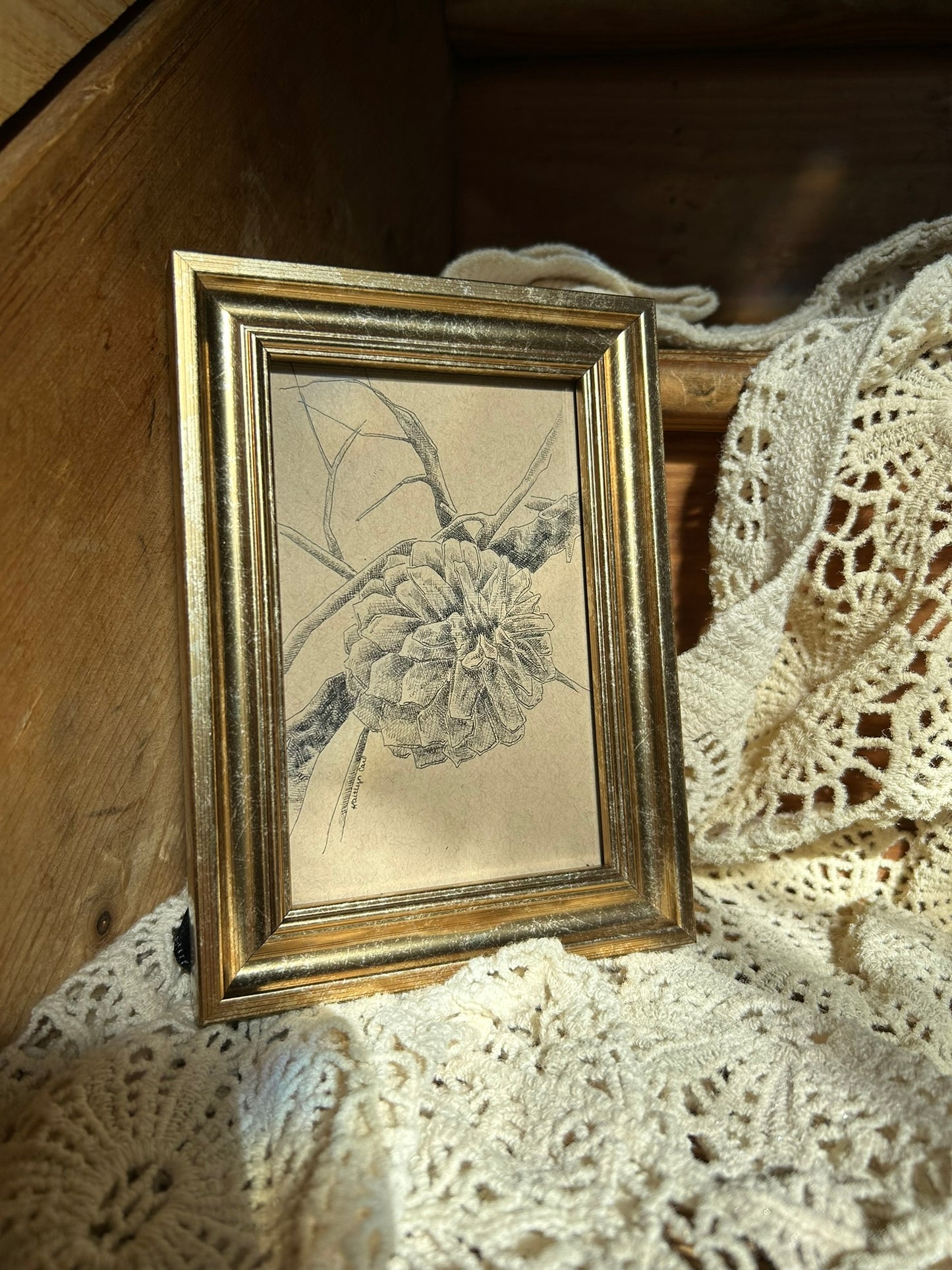 Pine Cone Pen Drawing