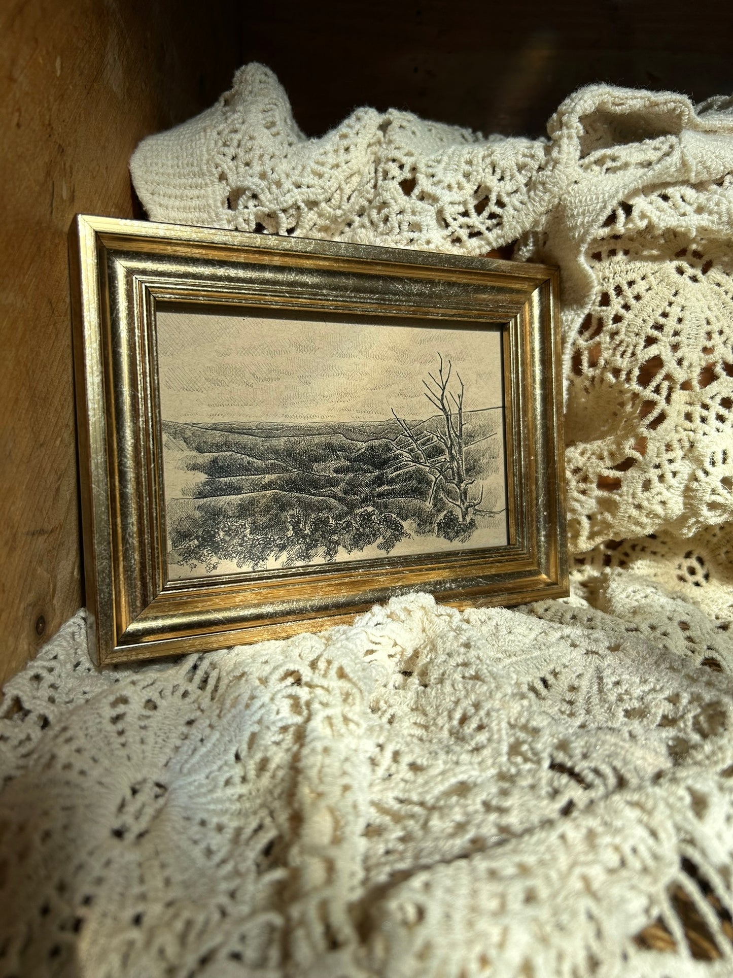 Bacon Hollow Overlook Original Pen Drawing