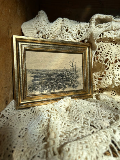 Bacon Hollow Overlook Original Pen Drawing