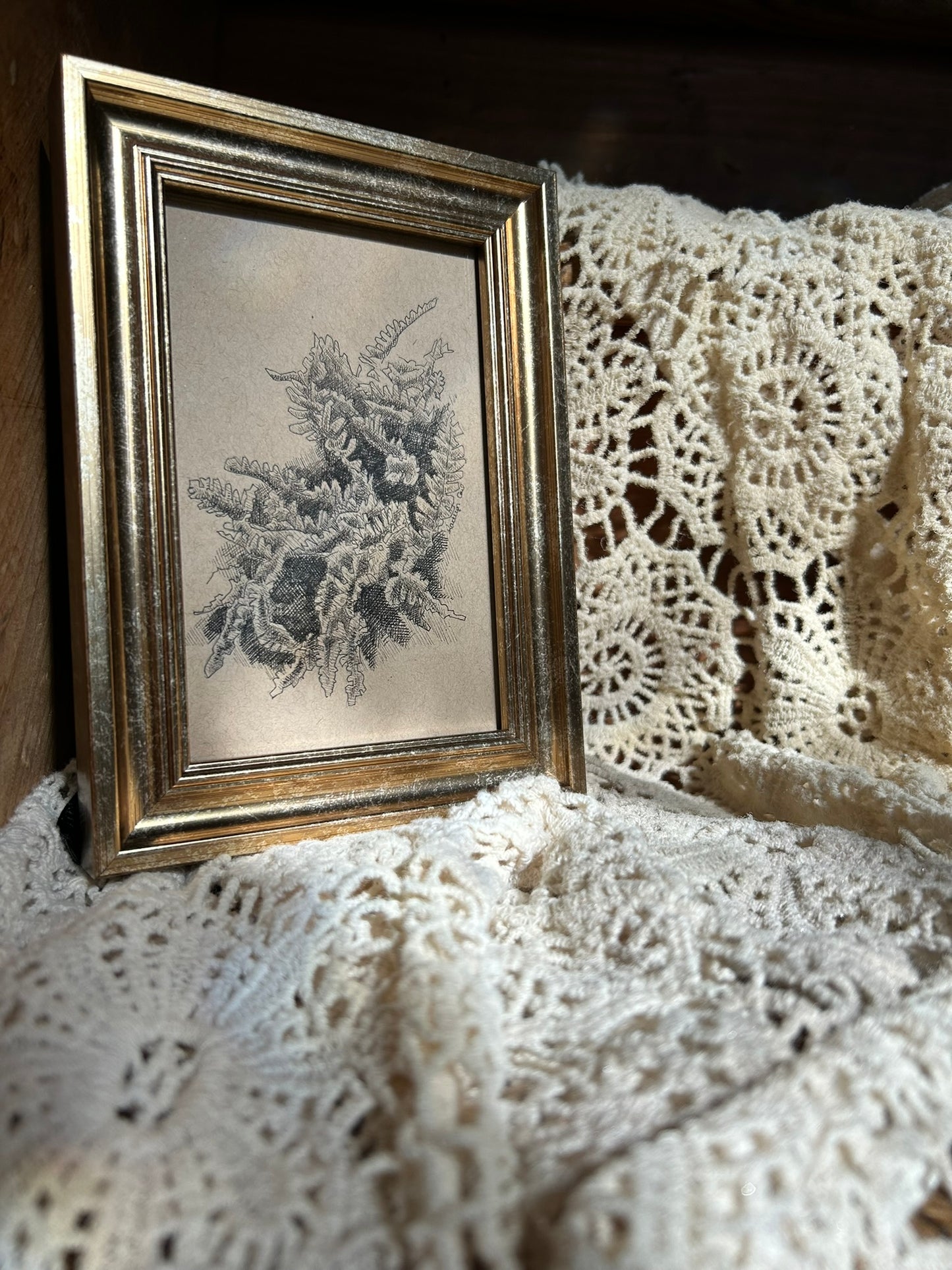 Fern Original Pen Drawing