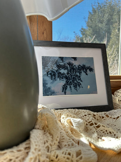 "Secrets and Resilience" Original Painting