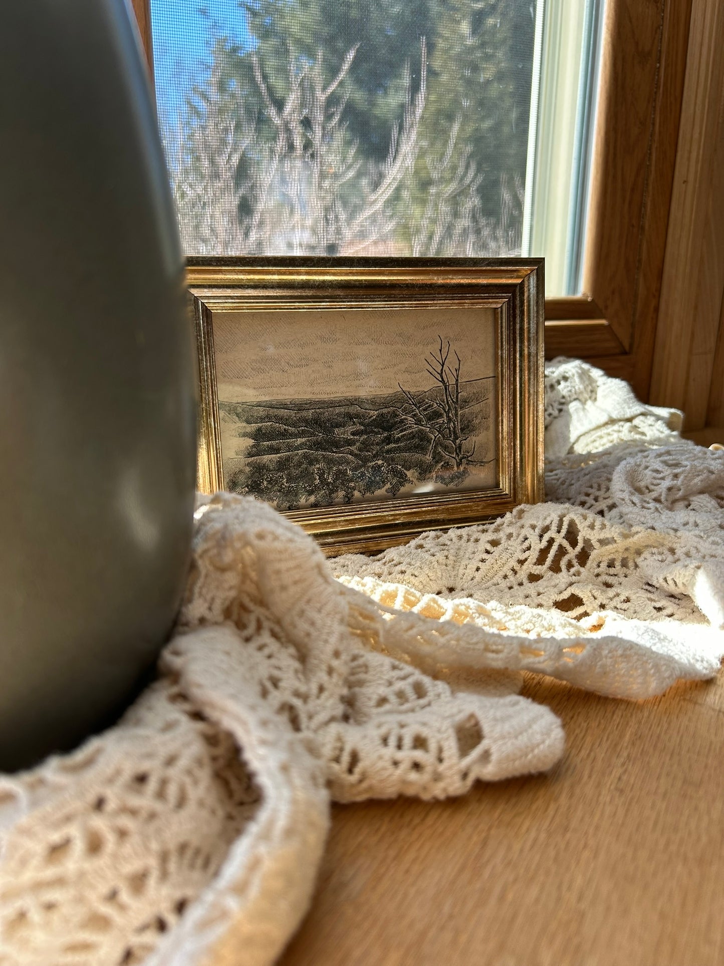 Bacon Hollow Overlook Original Pen Drawing