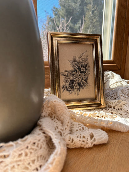 Fern Original Pen Drawing