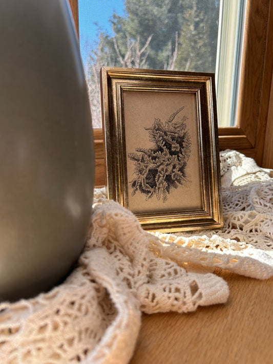 Fern Original Pen Drawing