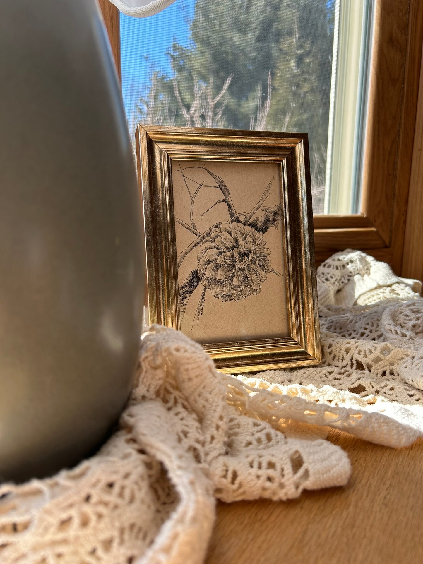 Pine Cone Pen Drawing