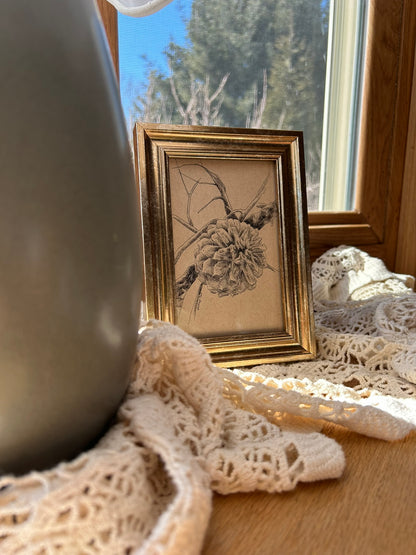 Pine Cone Pen Drawing