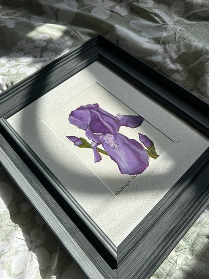 Iris Original Painting
