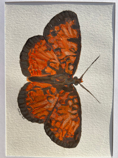 "Northern Crescent Butterfly" Original Painting