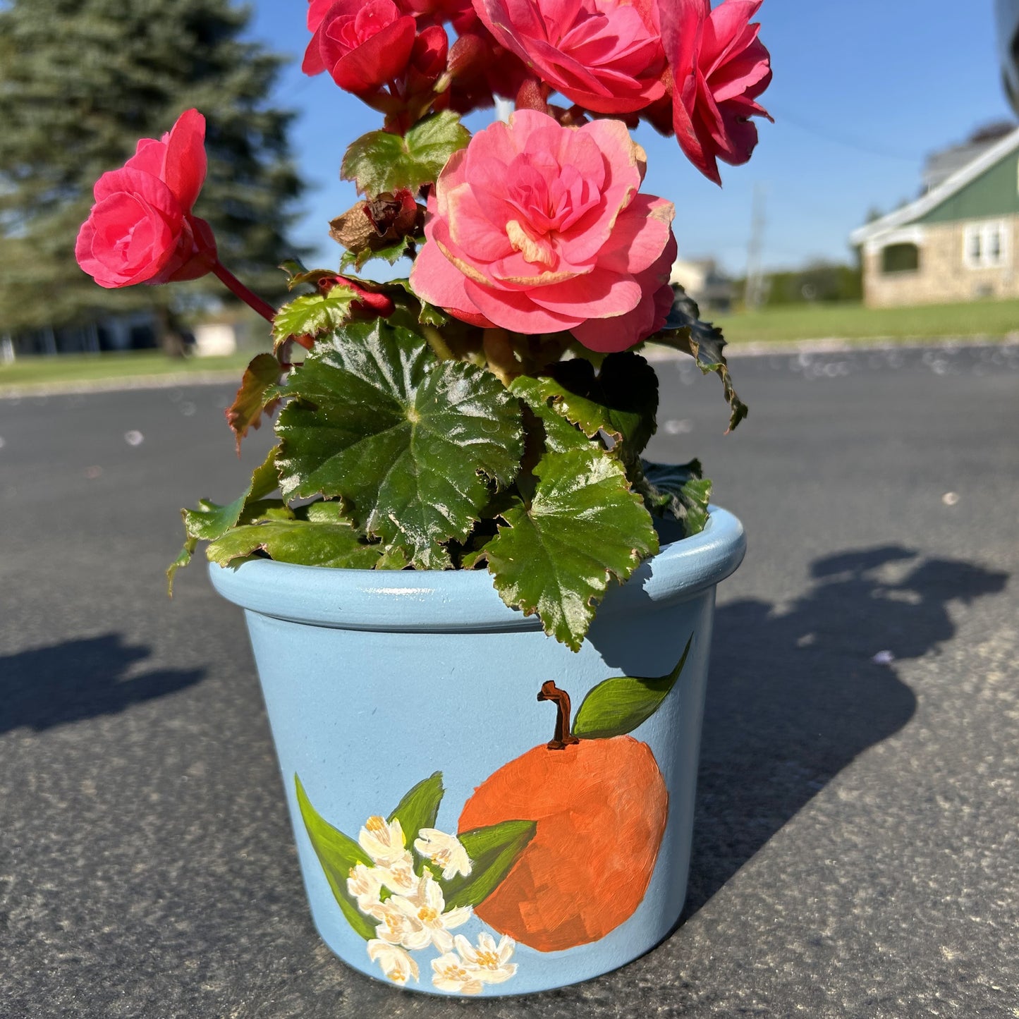 Orange Blossom Hand Painted Flower Pot