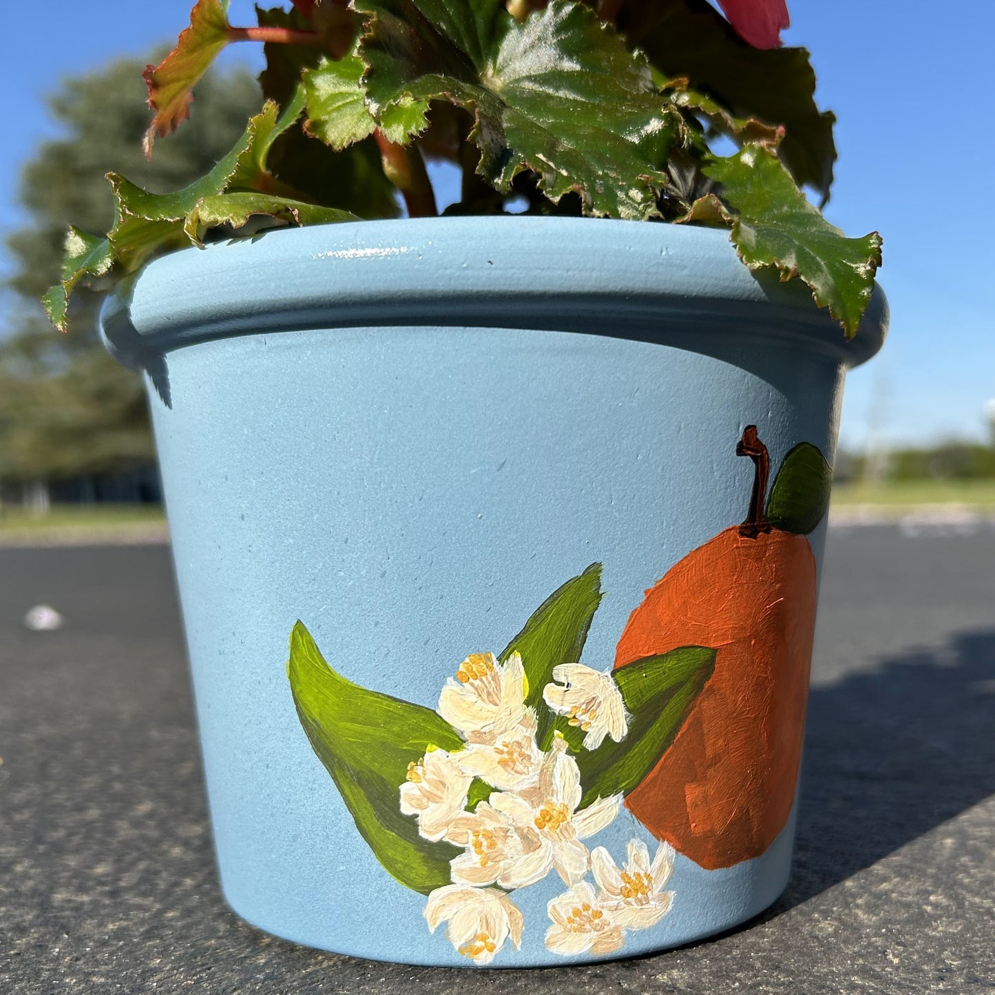 Orange Blossom Hand Painted Flower Pot