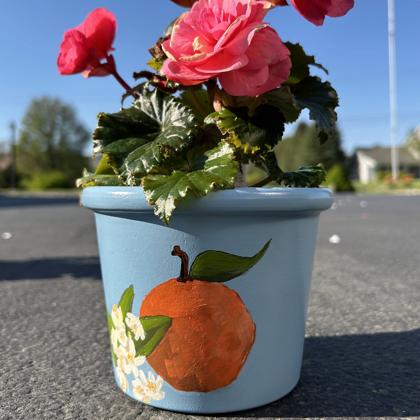 Orange Blossom Hand Painted Flower Pot