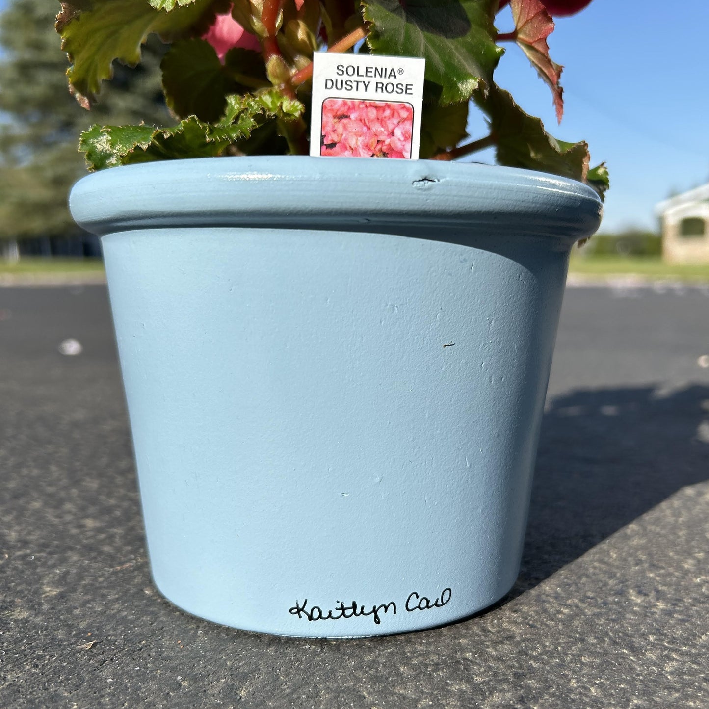 Orange Blossom Hand Painted Flower Pot