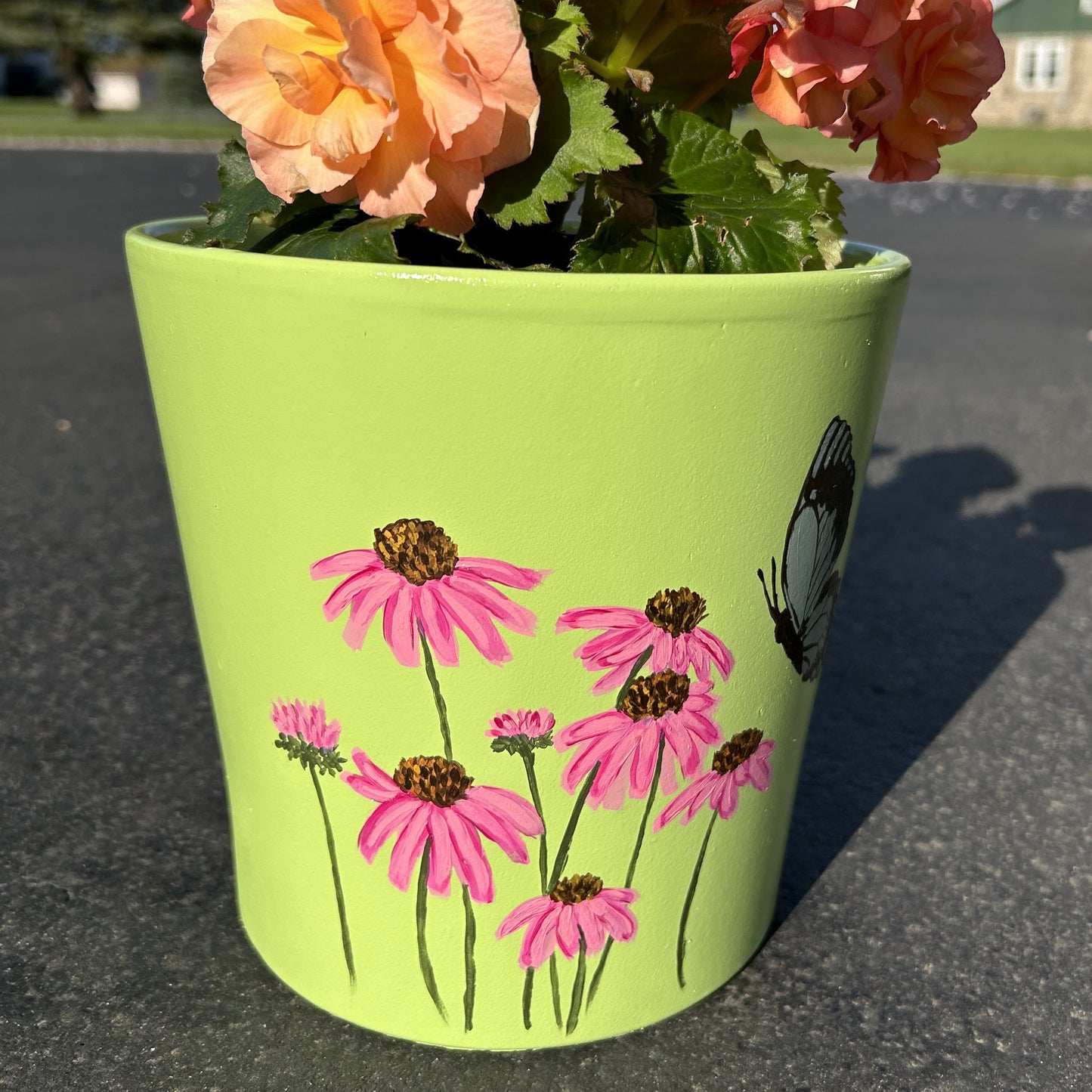 Coneflower Hand Painted Flower Pot