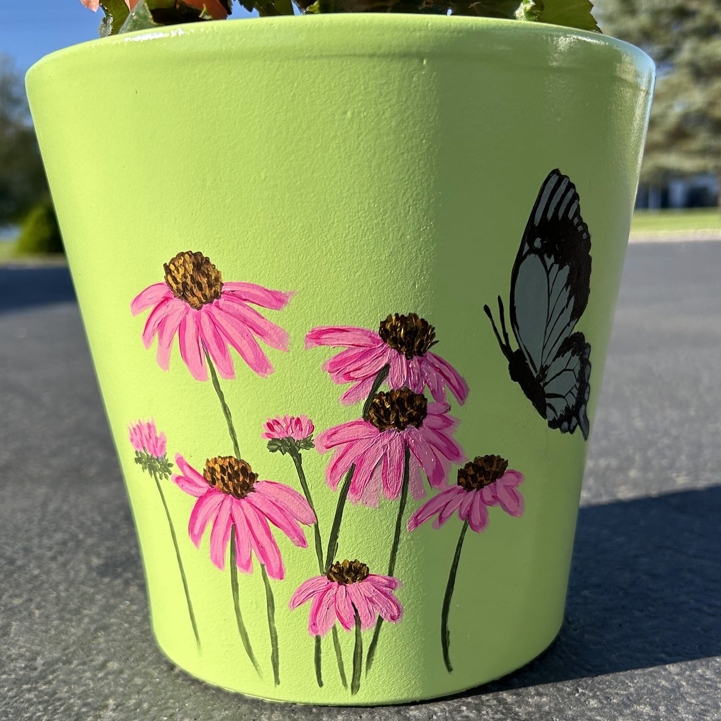 Coneflower Hand Painted Flower Pot